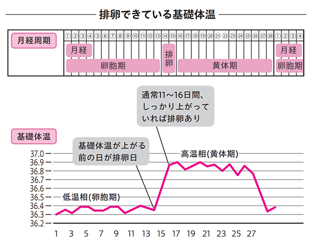 生理がこない原因は妊娠？病気？考えられる理由や受診の目安を解説 | エナ女性クリニック日本橋