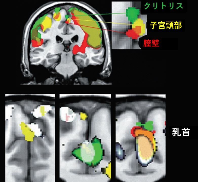 乳首責め】じっくり囁かれながらの乳首開発サポートすごすぎ・・・・ - DLチャンネル みんなで作る二次元情報サイト！