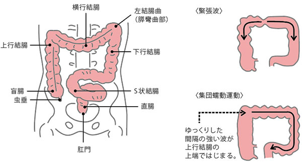 ロックマンクラスタによるお尻の穴開発とか男の子同士とかえっちな話♂ - Togetter [トゥギャッター]