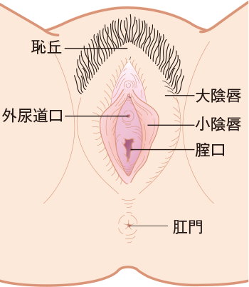 特集「気になるおりものの異常とかゆみ」｜山口レディスクリニック 神戸三宮の婦人科クリニック