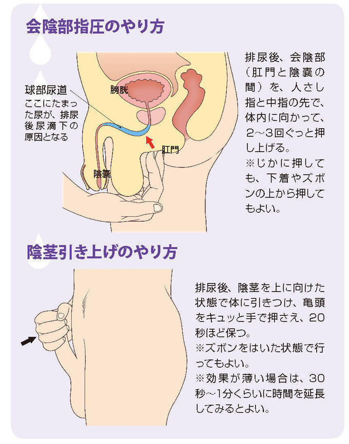 前立腺マッサージとはどんなプレイ？ 風俗エステ嬢がやり方を詳細解説 |