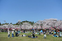 飯能市中央公園 から近くて安い駐車場特Pとくぴー