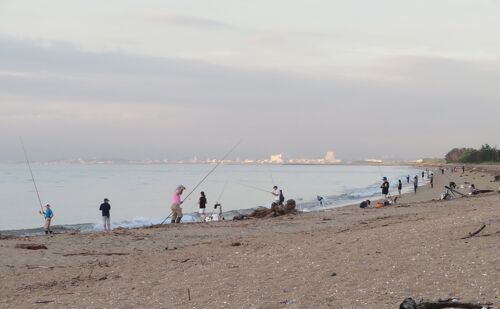 Taso Shirahama Beachスポット・体験伊勢志摩観光ナビ - 伊勢志摩観光コンベンション機構公式サイト