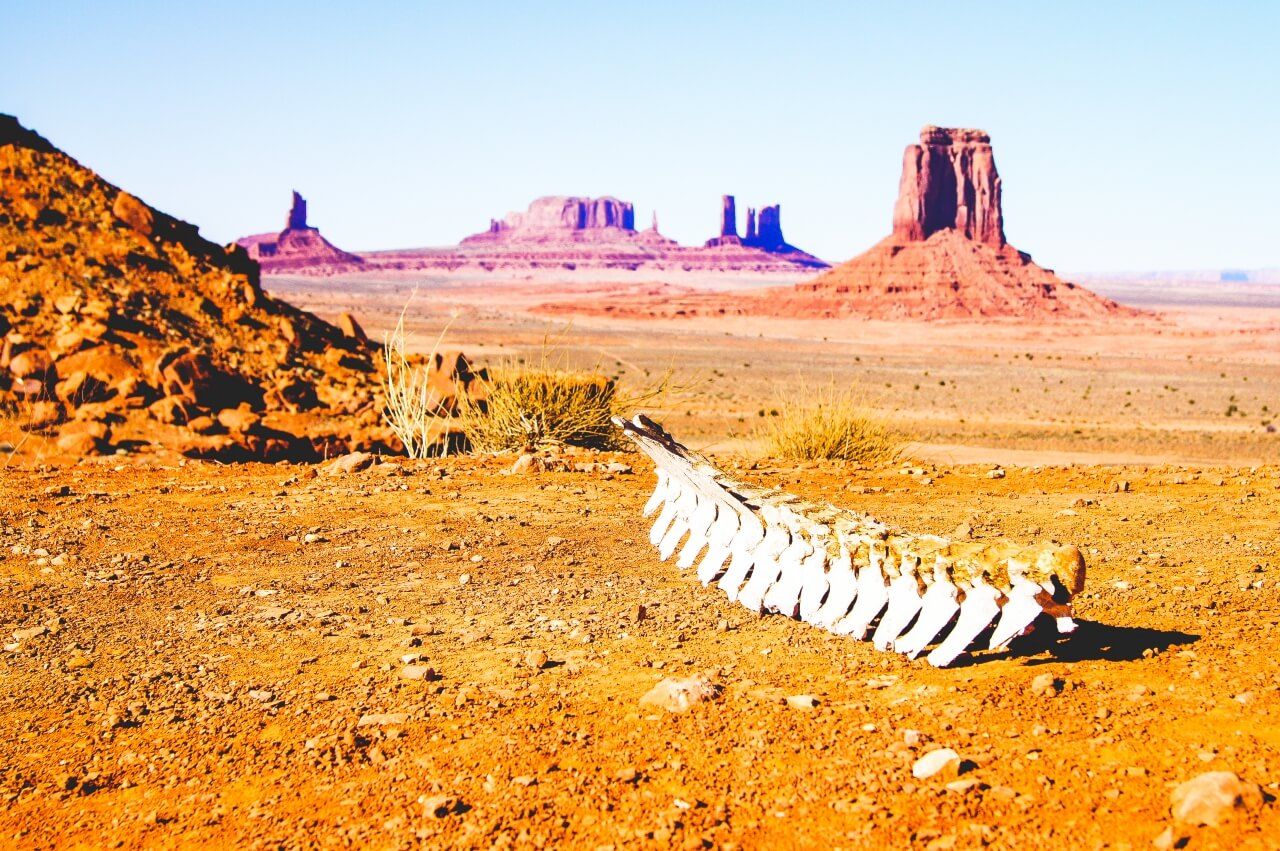 Monument Valley 子連れで楽しむモニュメントバレーの旅！人々を魅了する絶景スポットや料金・ベストシーズンを紹介世界５０カ国以上回ったリンタの旅ブログ