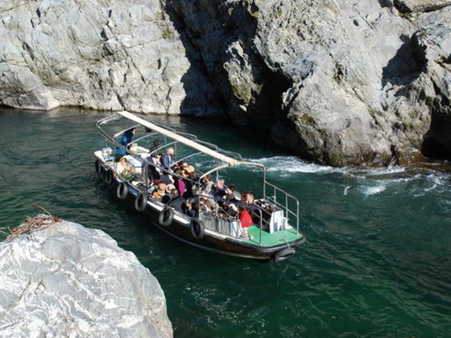 大歩危峡観光遊覧船 21 - Picture of