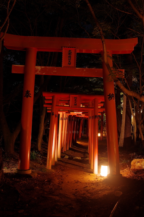 竈門神社の紅葉 福岡県紅葉名所2025