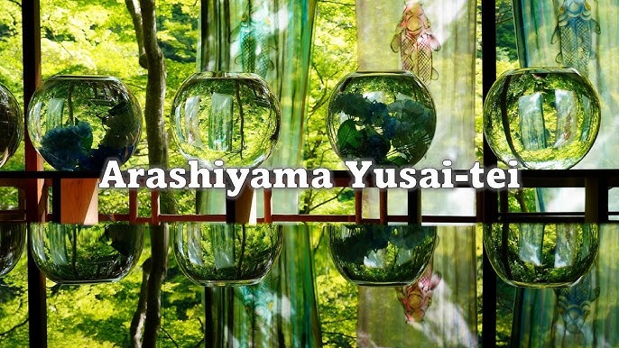 嵐山祐斎亭は４月１日 火 より見学を開始いたします。