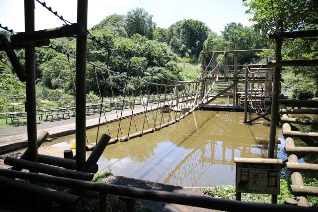 つくし野アスレチック 完全攻略は駐車場、持ち物、食事がポイントママズデザインAI時代に負けない子育て