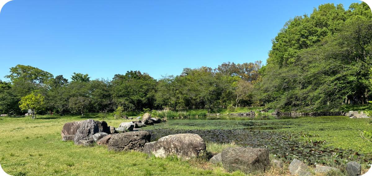 合併記念見沼公園 さいたま市大宮区の写真素材43063518- PIXTA