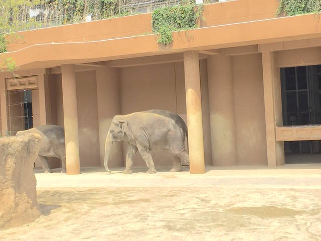 東山ボートハウスLINE Official Account