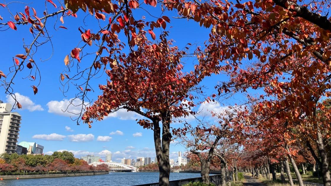 大川沿いのまちなみ観光スポット検索大阪ミュージアム