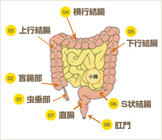 R-18] #弓槍 険悪なりきりプレーからの結腸ブチ抜き孕ませセックスになるラブラブ弓槍 -