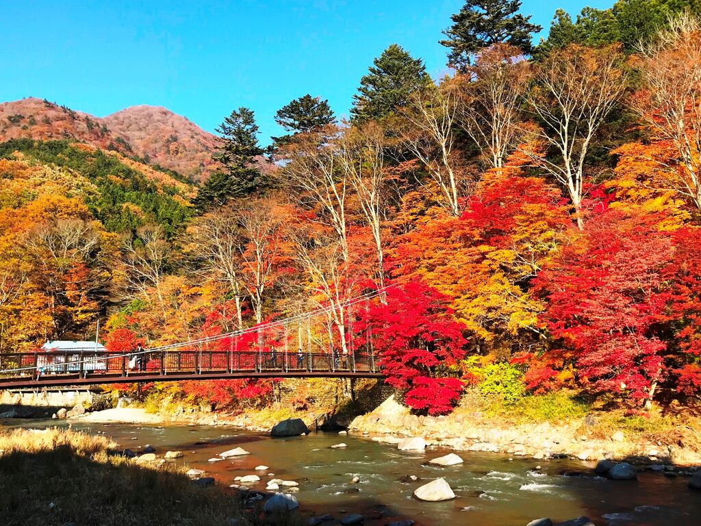 紅の吊橋 - 那須塩原市の橋・吊橋栃ナビ