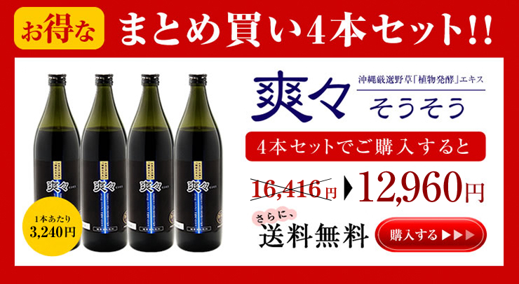 鯉のぼりモビール「爽々」 | 静岡市立芹沢銈介美術館museumshop オンラインショップ