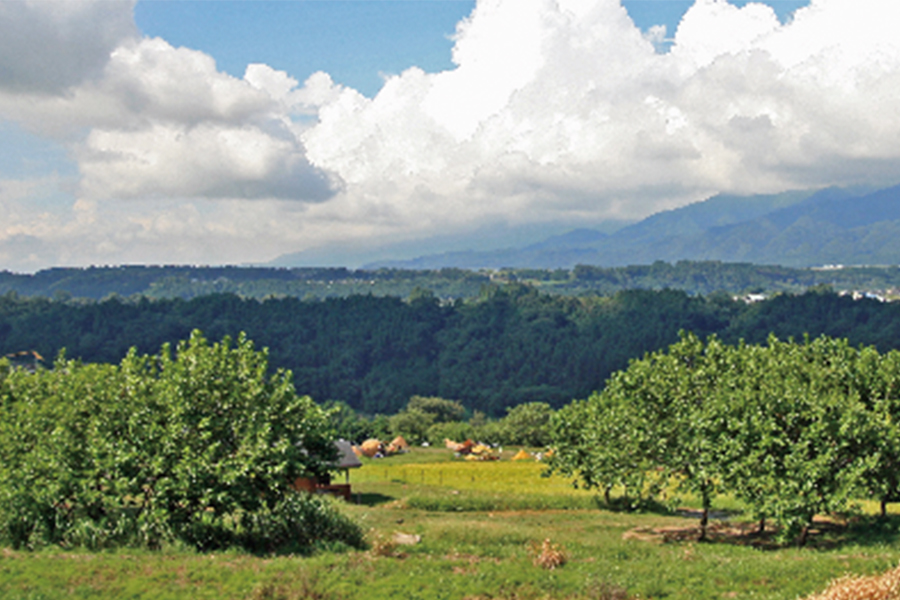 いなかの風 動画 長野県