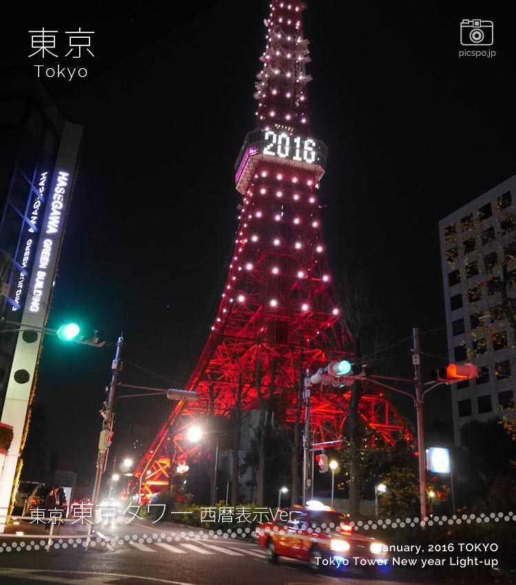 クリスマスイルミネーション結婚式司会 ウェディング・イベント司会者 プロス