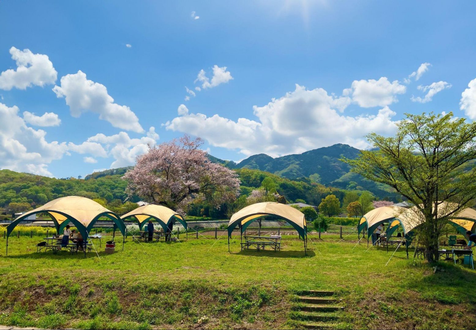 神奈川県のおすすめ野営地11選！穴場の無料キャンプ場をご紹介！フラミン子Blog