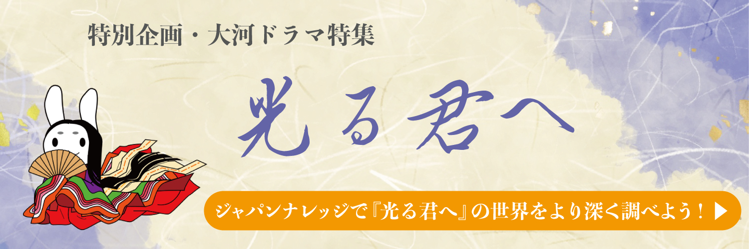 ロールスクリーン Rise 遮光 観阿弥 ネイビー