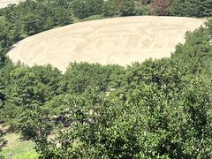 初詣は琴引八幡宮へお参りして、銭形砂絵で金運アップしてきました！ゆるガジェCHANNEL