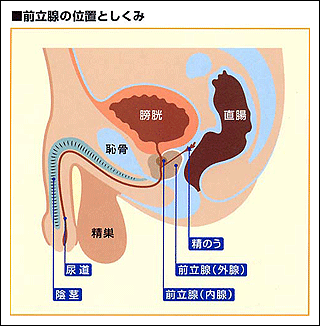 健康診断前日の悪あがきに効果はある？NG行動と実施すべき行動などを解説 - クラウド型健康管理システムなら【Growbase】