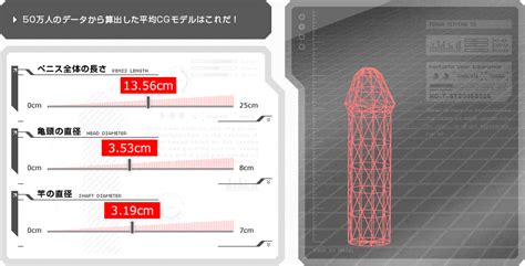 ペニスの長さ・太さサイズを一発診断！【トイレットペーパーの芯】 | セクテクサイト