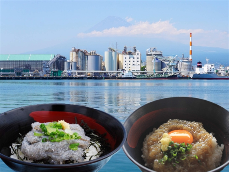 田子の浦港 漁協食堂 新鮮！コスパ最高！しらす丼ふらふらもぐもぐ〜静岡をメインとしたのんきなグルメブログ