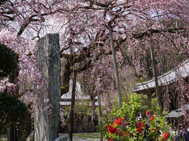 明王寺 徳島県徳島市 お寺情報やさしいお葬式