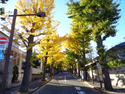 田園調布散歩 静けさと歴史が交差する昼下がりの街歩きぶらぶら日和