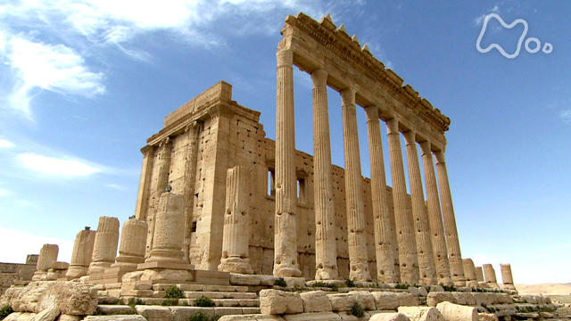 62 パルミラ島 Stock Photos,