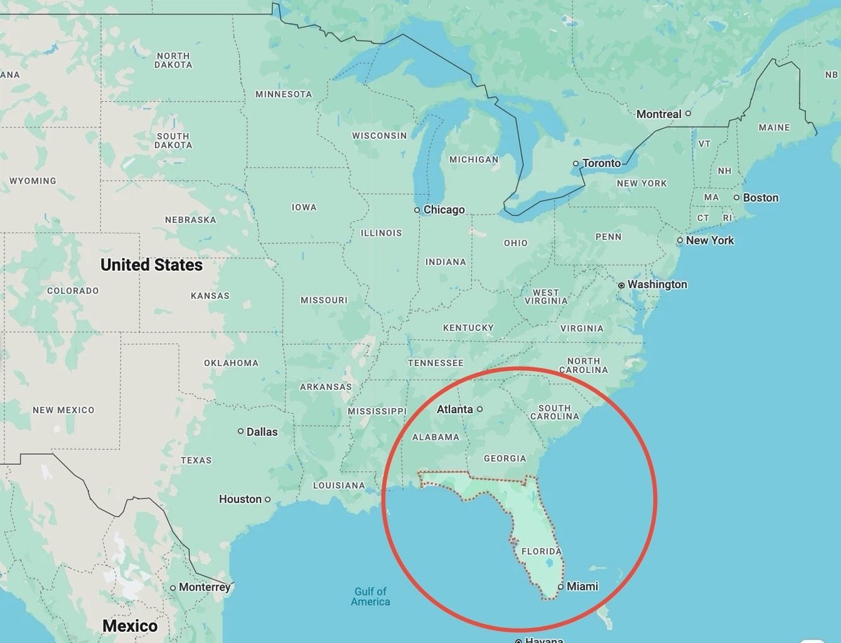 フロリダ・オーランド子連れ旅行記 ディズニーワールド、ユニバーサル、アウトレットモール、ウォーターパークそれ行け！子連れ海外旅行