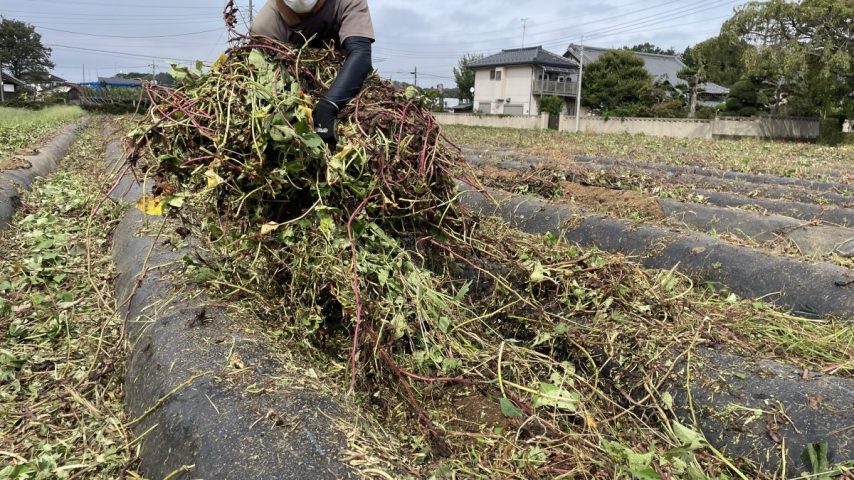 松戸駅 ドキドキクラブ みき２ | 風俗放浪記