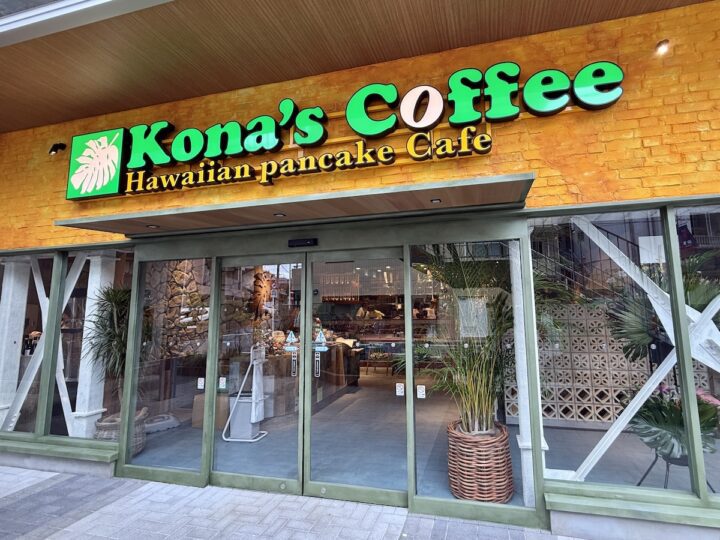 西荻窪「喫茶coniwa」プリンでティータイム レトロで洋館のようなカフェ スイーツ、カレー、ルーロー飯も！土日祝のみオープン│193go.jp いくみごードットジェイピー