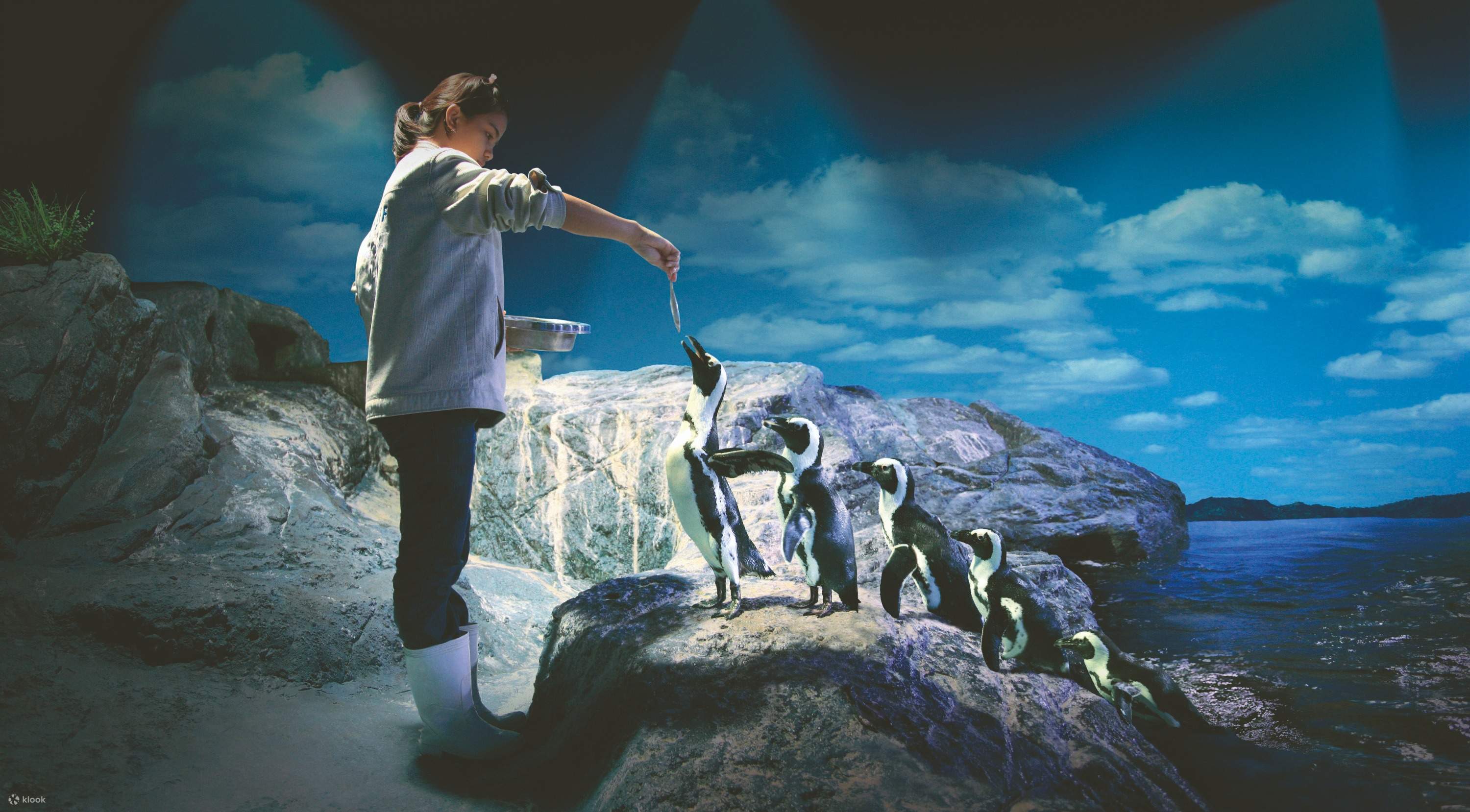 シーライフバンコク水族館 サイアムパラゴン地下 の見どころや割引チケットの買い方・注意点を詳しく紹介