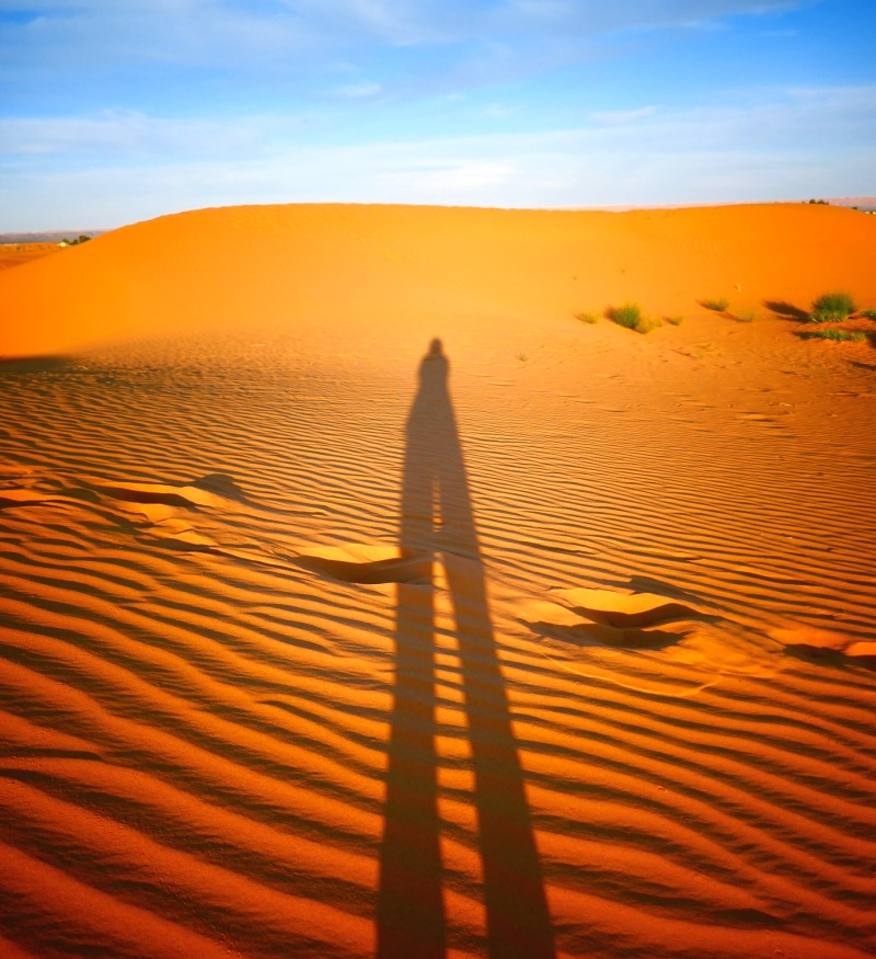 モロッコ 絶景・格安サハラ砂漠ツアーの全貌を4Kで🐪