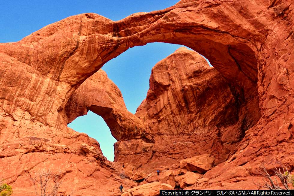 ラシュモア山イエローストーン＆アーチーズ国立公園7日間ツア