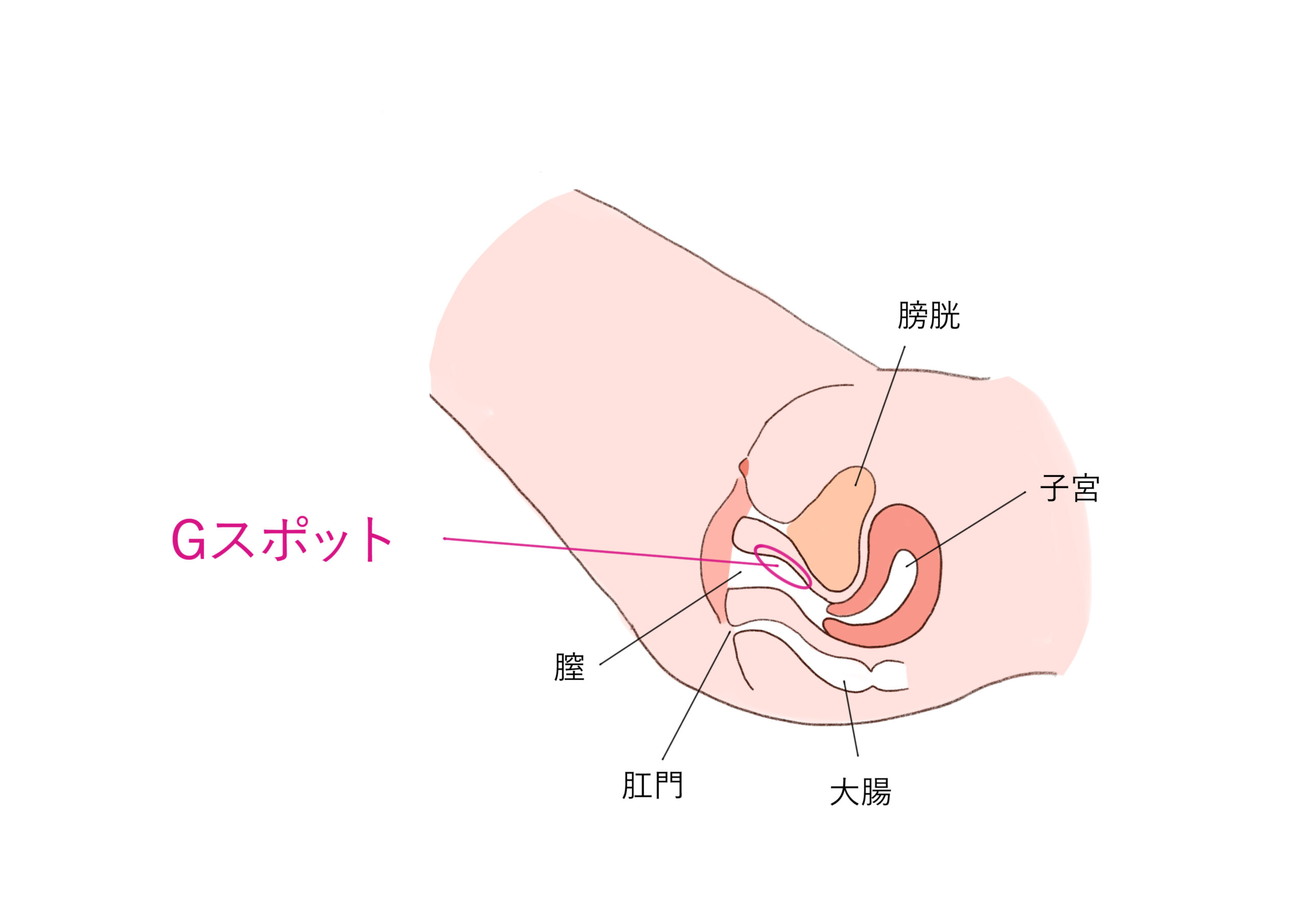 【講座動画？】彼女が毎回連続絶頂してる手マンのやり方【個人撮影】