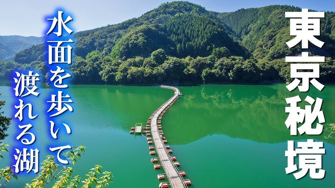 麦山浮橋」の写真素材52件の無料イラスト画像Adobe Stock