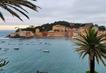 ニースからメントンまでのリビエラ – 真珠と椰子の木の間GetYourGuide