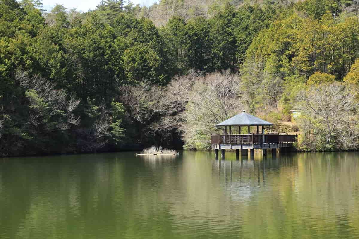 2024年版 関西で湖畔サイトがあるキャンプ場12選Greenfield グリーンフィールド