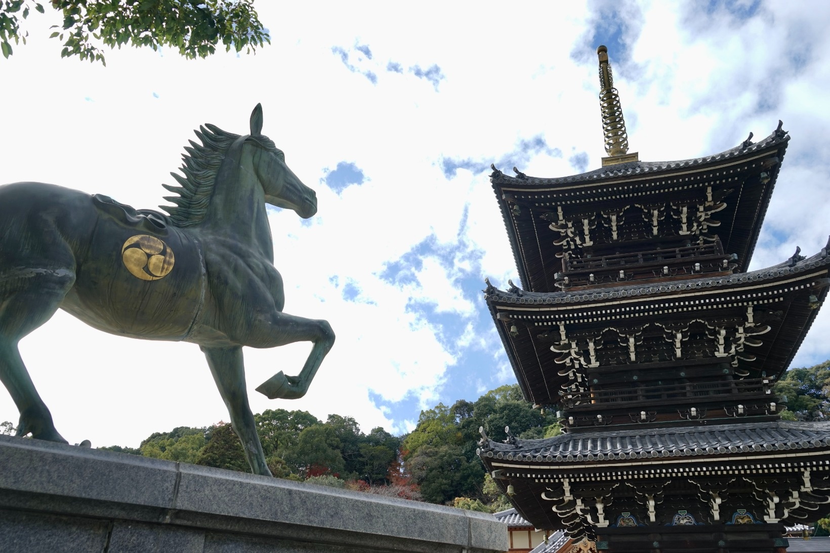 今年は閑散、だからこそ味わい深い？ 大阪・水間寺がライトアップ大阪府 ：朝日新聞
