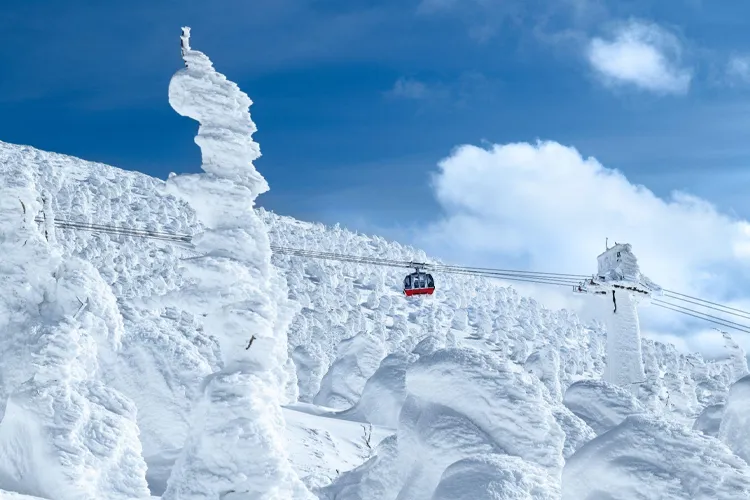 蔵王 樹氷・スノーモンスターの絶景！雪山登山 ライザ〜蔵王温泉縦走今日という日を忘れずに