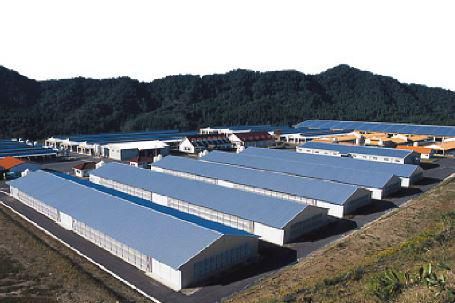 鹿児島県薩摩川内市 藺牟田池キャンプ場情報まとめ バス釣りができる！池を眺めながらパイプたばこを楽しんできた！