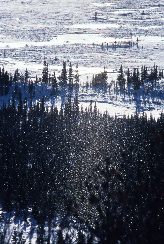 アラスカの氷河ロッジ「シェルドン・マウンテン・シャレー」風景写真家・松井章のブログ