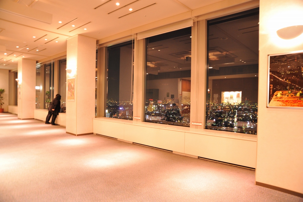 キャロットタワー 展望台 スカイキャロットの夜景情報