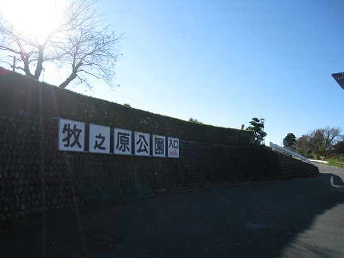 2025年 牧之原公園 - 出発前に知っておくべきことすべて -