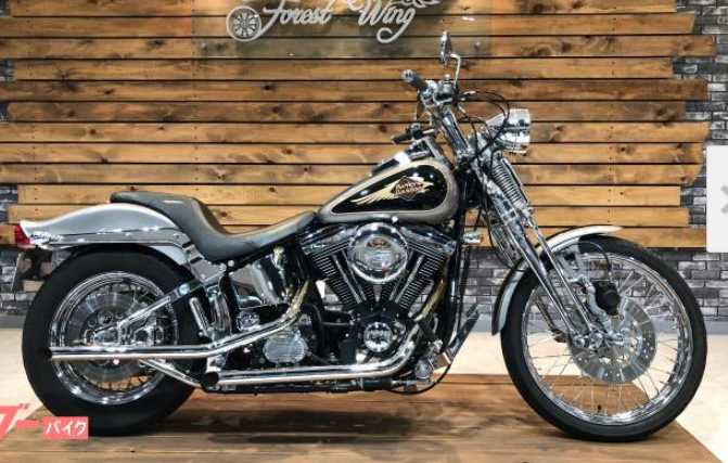 大型二輪免許を取ってハーレーに乗りたい！」そんな人、ご注目！ 免許取得費用を最大10万円サポートするキャンペーンが開始 -