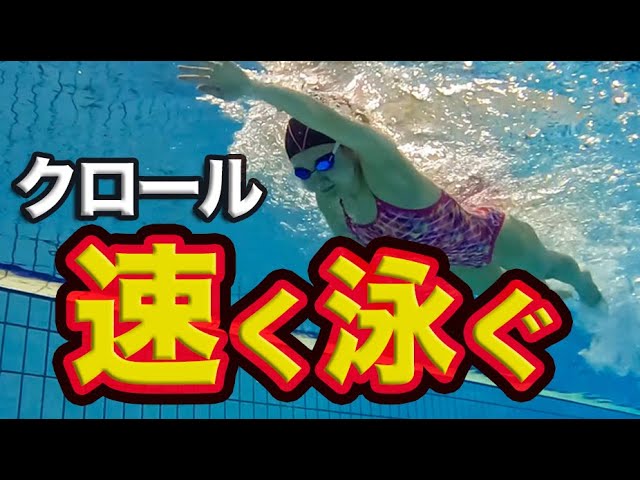 スイミングプールジム、スイミング、プール – スポーツクラブアクトス