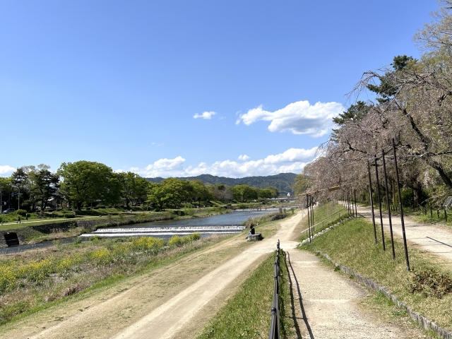 京都河原町の子供と赤ちゃんの遊び場10選！四条烏丸周辺の子連れで遊べる所がたくさん (2) |