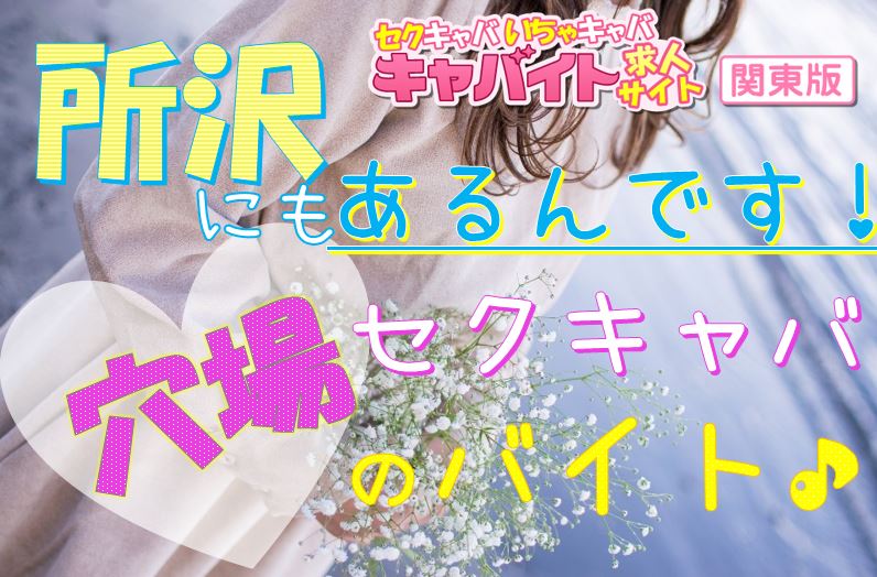 所沢・清瀬のセクキャバ・いちゃキャバお店一覧【キャバセクナビ】