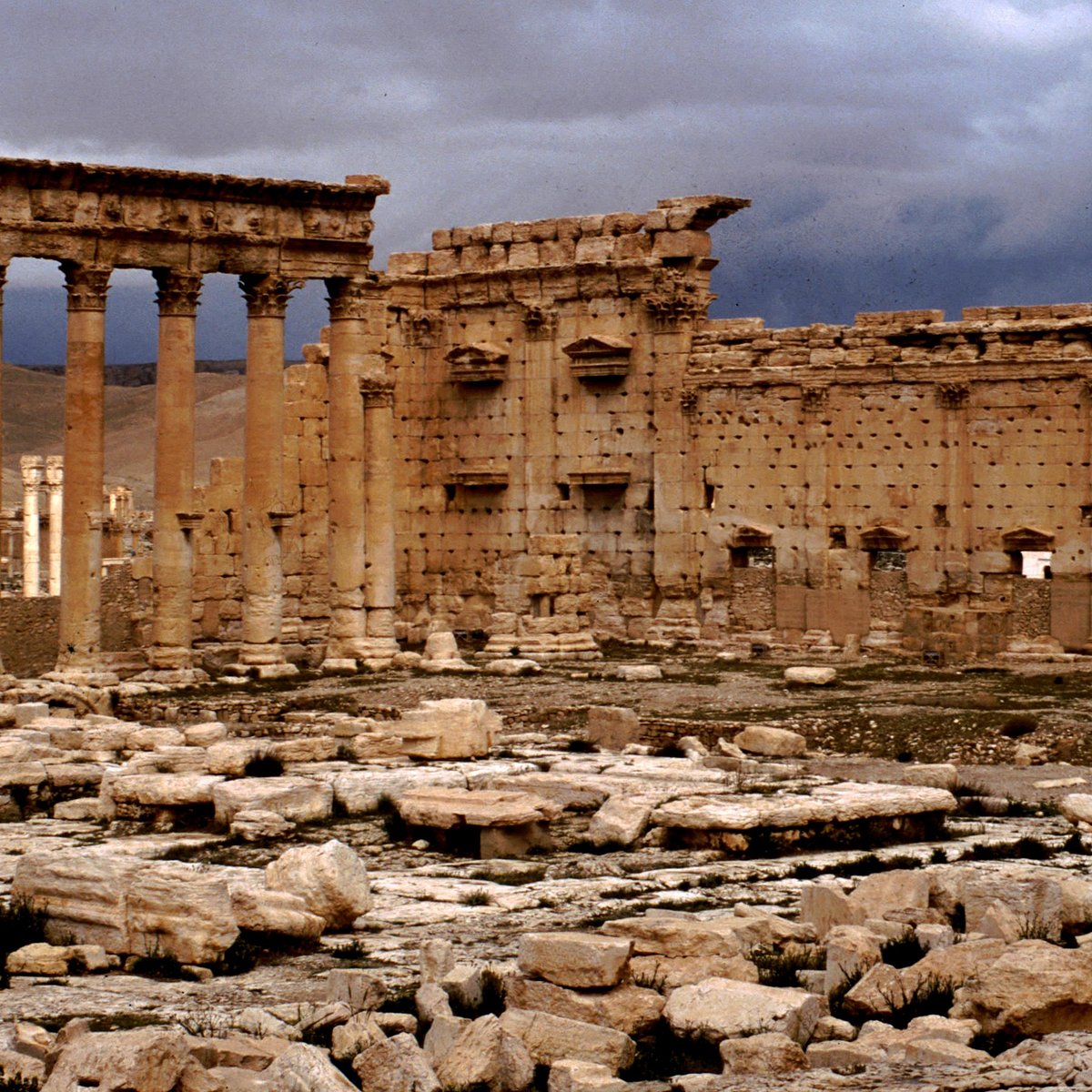 62 パルミラ島 Stock Photos,